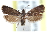  ( - CCDB-24283-D12)  @11 [ ] CreativeCommons - Attribution (2015) CBG Photography Group Centre for Biodiversity Genomics
