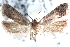  ( - CCDB-24283-H03)  @13 [ ] CreativeCommons - Attribution (2015) CBG Photography Group Centre for Biodiversity Genomics