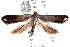  ( - CCDB-24283-H04)  @12 [ ] CreativeCommons - Attribution (2015) CBG Photography Group Centre for Biodiversity Genomics