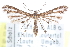  ( - CCDB-24284-A12)  @11 [ ] CreativeCommons - Attribution (2015) CBG Photography Group Centre for Biodiversity Genomics