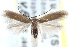  ( - CCDB-24284-B04)  @11 [ ] CreativeCommons - Attribution (2015) CBG Photography Group Centre for Biodiversity Genomics