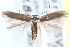  ( - CCDB-24284-B06)  @11 [ ] CreativeCommons - Attribution (2015) CBG Photography Group Centre for Biodiversity Genomics