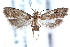  ( - CCDB-24284-D02)  @11 [ ] CreativeCommons - Attribution (2015) CBG Photography Group Centre for Biodiversity Genomics
