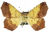  ( - CCDB-24285-B07)  @13 [ ] CreativeCommons - Attribution (2015) CBG Photography Group Centre for Biodiversity Genomics