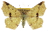  ( - CCDB-24285-B08)  @15 [ ] CreativeCommons - Attribution (2015) CBG Photography Group Centre for Biodiversity Genomics