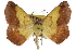  ( - CCDB-24285-B09)  @14 [ ] CreativeCommons - Attribution (2015) CBG Photography Group Centre for Biodiversity Genomics