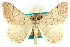  ( - CCDB-24286-A05)  @11 [ ] CreativeCommons - Attribution (2015) CBG Photography Group Centre for Biodiversity Genomics