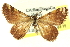  ( - CCDB-24286-B01)  @13 [ ] CreativeCommons - Attribution (2015) CBG Photography Group Centre for Biodiversity Genomics