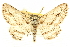  ( - CCDB-24286-B07)  @11 [ ] CreativeCommons - Attribution (2015) CBG Photography Group Centre for Biodiversity Genomics