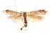  ( - CCDB-28562-E06)  @13 [ ] CreativeCommons - Attribution (2015) CBG Photography Group Centre for Biodiversity Genomics