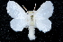  ( - CCDB-28563-C07)  @15 [ ] CreativeCommons - Attribution (2015) CBG Photography Group Centre for Biodiversity Genomics
