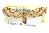  ( - CCDB-28565-D08)  @14 [ ] CreativeCommons - Attribution (2015) CBG Photography Group Centre for Biodiversity Genomics