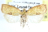  ( - CCDB-28565-H01)  @11 [ ] CreativeCommons - Attribution (2015) CBG Photography Group Centre for Biodiversity Genomics