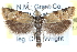  ( - CCDB-28565-H03)  @14 [ ] CreativeCommons - Attribution (2015) CBG Photography Group Centre for Biodiversity Genomics