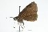  ( - CCDB-28953-C12_NGS)  @12 [ ] CreativeCommons - Attribution (2016) Jacopo DErcole Centre for Biodiversity Genomics