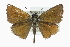  ( - CCDB-28954-E04)  @14 [ ] CreativeCommons - Attribution (2016) CBG Photography Group Centre for Biodiversity Genomics