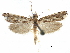  ( - CCDB-28955-A12)  @11 [ ] CreativeCommons - Attribution (2016) CBG Photography Group Centre for Biodiversity Genomics