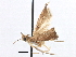  ( - CCDB-28955-B08)  @11 [ ] CreativeCommons - Attribution (2016) CBG Photography Group Centre for Biodiversity Genomics