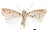  ( - CCDB-28955-B12)  @11 [ ] CreativeCommons - Attribution (2016) CBG Photography Group Centre for Biodiversity Genomics