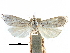  ( - CCDB-28955-C04)  @11 [ ] CreativeCommons - Attribution (2016) CBG Photography Group Centre for Biodiversity Genomics