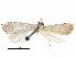 ( - CCDB-28955-C05)  @11 [ ] CreativeCommons - Attribution (2016) CBG Photography Group Centre for Biodiversity Genomics