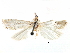  ( - CCDB-28955-C07)  @11 [ ] CreativeCommons - Attribution (2016) CBG Photography Group Centre for Biodiversity Genomics