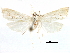  ( - CCDB-28955-D12)  @11 [ ] CreativeCommons - Attribution (2016) CBG Photography Group Centre for Biodiversity Genomics