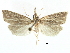  ( - CCDB-28955-E04)  @11 [ ] CreativeCommons - Attribution (2016) CBG Photography Group Centre for Biodiversity Genomics