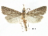  ( - CCDB-28955-E06)  @11 [ ] CreativeCommons - Attribution (2016) CBG Photography Group Centre for Biodiversity Genomics