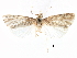  ( - CCDB-28955-G12)  @11 [ ] CreativeCommons - Attribution (2016) CBG Photography Group Centre for Biodiversity Genomics