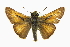 ( - CCDB-28956-G05_NGS)  @11 [ ] CreativeCommons - Attribution (2016) Jacopo DErcole Centre for Biodiversity Genomics