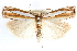  ( - CCDB-28957-A04)  @11 [ ] CreativeCommons - Attribution (2016) CBG Photography Group Centre for Biodiversity Genomics