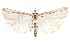  ( - CCDB-28957-B11)  @12 [ ] CreativeCommons - Attribution (2016) CBG Photography Group Centre for Biodiversity Genomics