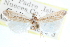  ( - CCDB-28957-E04)  @11 [ ] CreativeCommons - Attribution (2016) CBG Photography Group Centre for Biodiversity Genomics