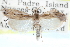  ( - CCDB-28957-E05)  @11 [ ] CreativeCommons - Attribution (2016) CBG Photography Group Centre for Biodiversity Genomics
