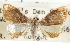  ( - CCDB-28958-D03)  @11 [ ] CreativeCommons - Attribution (2016) CBG Photography Group Centre for Biodiversity Genomics