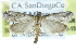  ( - CCDB-28959-C06)  @14 [ ] CreativeCommons - Attribution (2016) CBG Photography Group Centre for Biodiversity Genomics