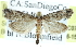  ( - CCDB-28959-C07)  @14 [ ] CreativeCommons - Attribution (2016) CBG Photography Group Centre for Biodiversity Genomics
