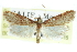  ( - CCDB-28959-E01)  @11 [ ] CreativeCommons - Attribution (2016) CBG Photography Group Centre for Biodiversity Genomics