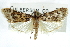  ( - CCDB-28959-E02)  @14 [ ] CreativeCommons - Attribution (2016) CBG Photography Group Centre for Biodiversity Genomics