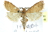  ( - CCDB-28959-F11)  @14 [ ] CreativeCommons - Attribution (2016) CBG Photography Group Centre for Biodiversity Genomics