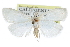  ( - CCDB-28960-B04)  @12 [ ] CreativeCommons - Attribution (2016) CBG Photography Group Centre for Biodiversity Genomics
