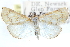  ( - CCDB-28963-A10)  @11 [ ] CreativeCommons - Attribution (2016) CBG Photography Group Centre for Biodiversity Genomics