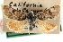  ( - CCDB-28964-C03)  @14 [ ] CreativeCommons - Attribution (2016) CBG Photography Group Centre for Biodiversity Genomics