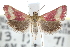  ( - CCDB-28967-D07)  @11 [ ] CreativeCommons - Attribution (2016) CBG Photography Group Centre for Biodiversity Genomics