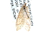  ( - CCDB-28967-G09)  @13 [ ] CreativeCommons - Attribution (2016) CBG Photography Group Centre for Biodiversity Genomics