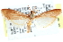  ( - CCDB-28972-D09)  @11 [ ] CreativeCommons - Attribution (2016) CBG Photography Group Centre for Biodiversity Genomics