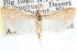  ( - CCDB-28972-E01)  @11 [ ] CreativeCommons - Attribution (2016) CBG Photography Group Centre for Biodiversity Genomics