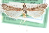  ( - CCDB-28972-G12)  @11 [ ] CreativeCommons - Attribution (2016) CBG Photography Group Centre for Biodiversity Genomics