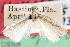  ( - CCDB-28972-H01)  @11 [ ] CreativeCommons - Attribution (2016) CBG Photography Group Centre for Biodiversity Genomics